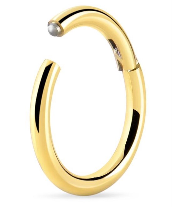 💎Titanium 1,2 mm Hinged Segment Ring – Goudkleurig