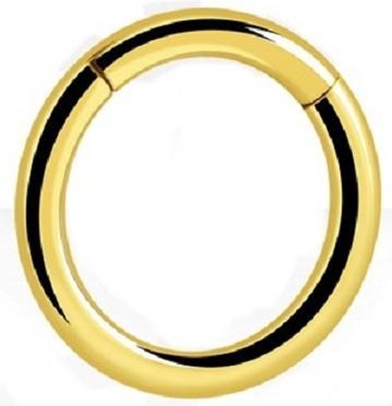 💎Titanium 1,2 mm Hinged Segment Ring – Goudkleurig