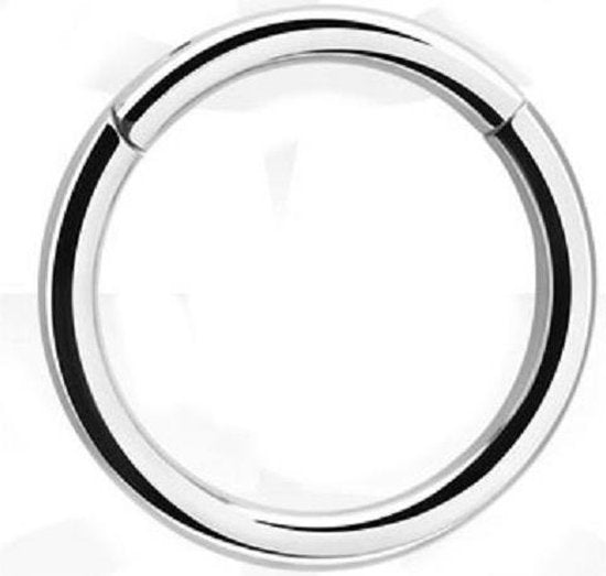 💎 Titanium 1,2 mm Hinged Segment Ring – Zilver